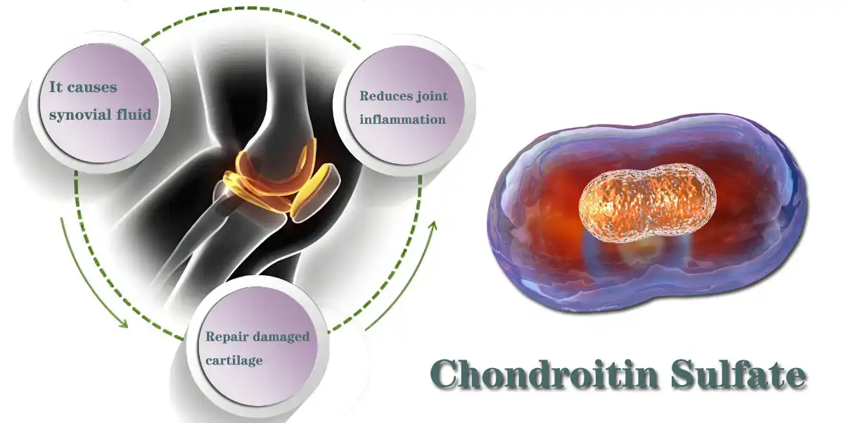 Chondroitin Sulfate Powder.jpg